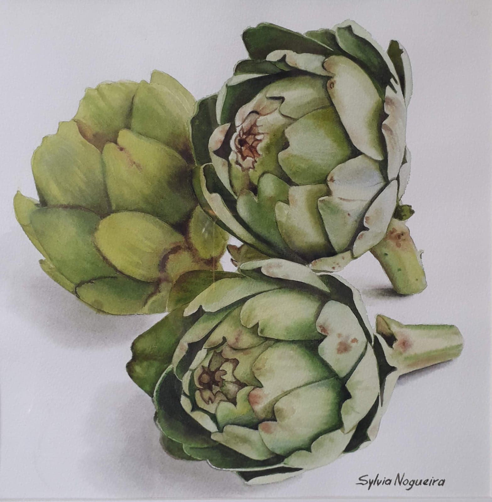 Sylivia Nogueira - Artichokes