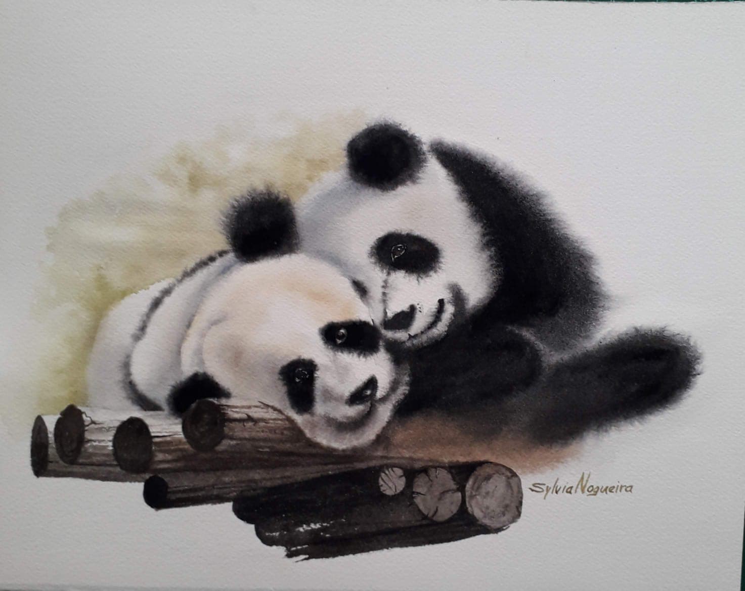Pandas