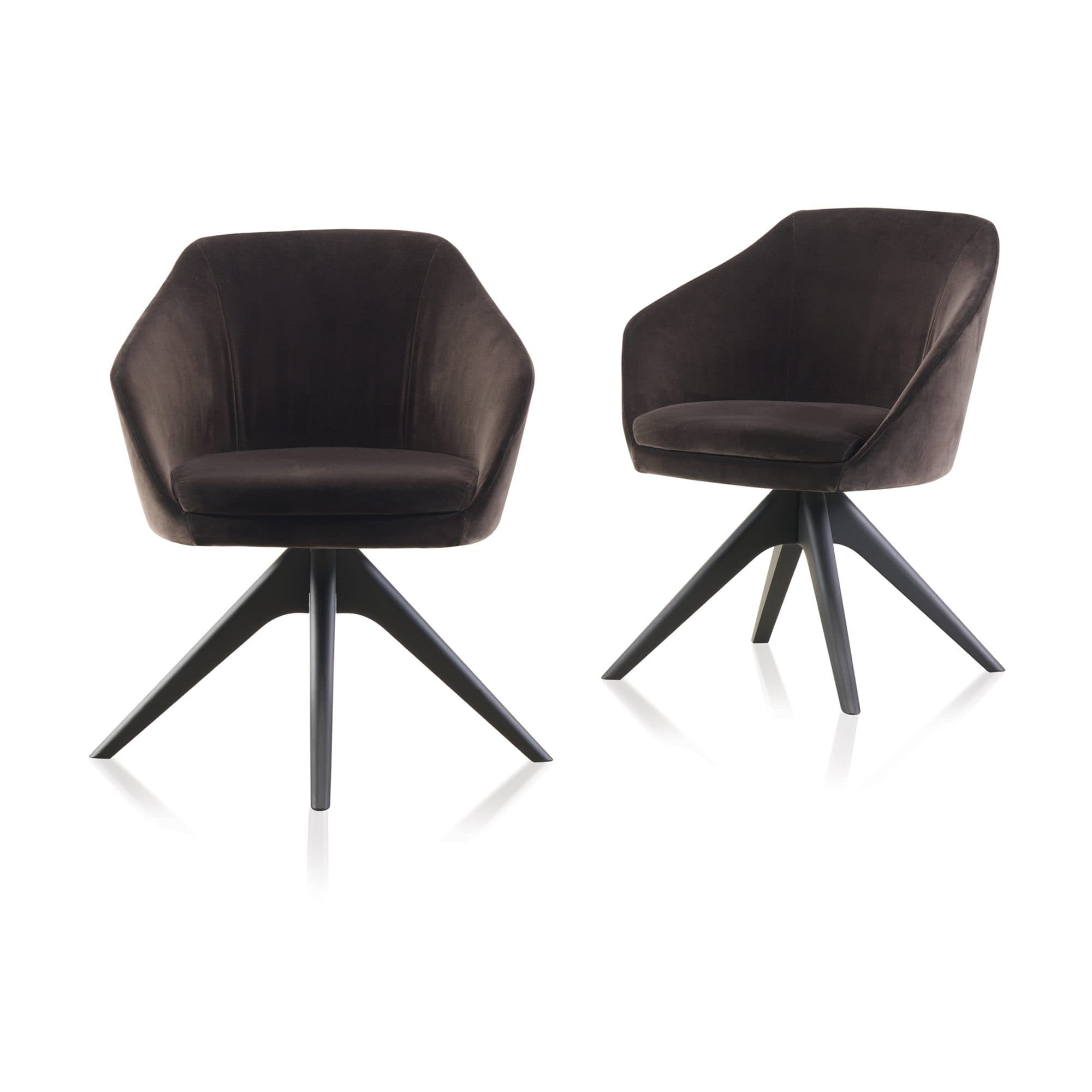 Aleria Chair
