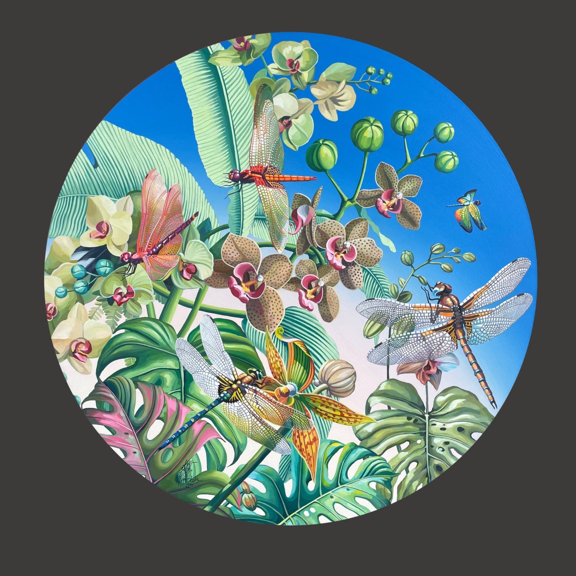 Danza De Orquideas
