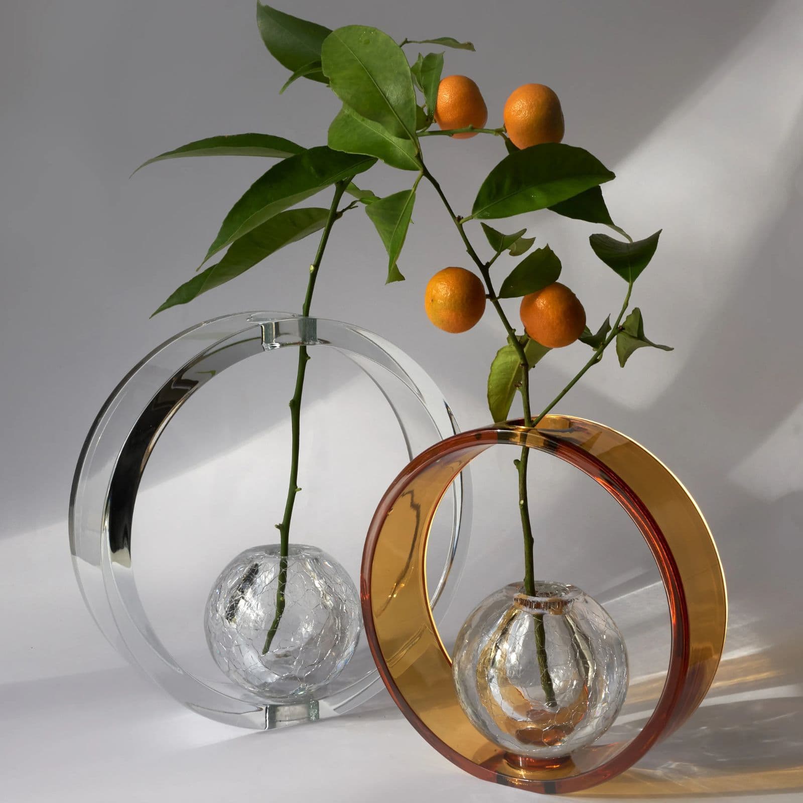 Clear and amber Saturno glass ring vases holding kumquat branches in sunlight